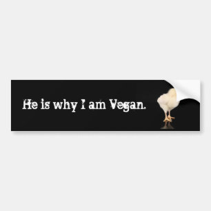 han är därför I-förmiddagveganen Bildekal