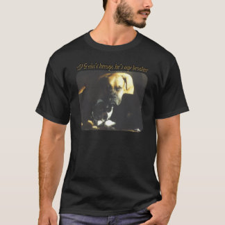 Han är inte skurkrollen t-shirt