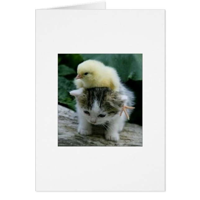 Han är inte tungan, han är min bror hälsningskort (Framsidan)