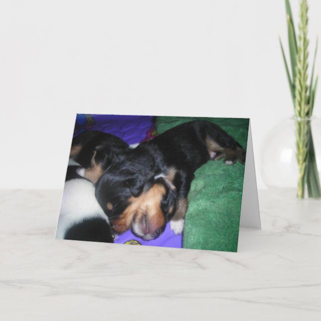 HAN ÄR MIN BROR. BIRTHDAY CARD KORT (Framsida)