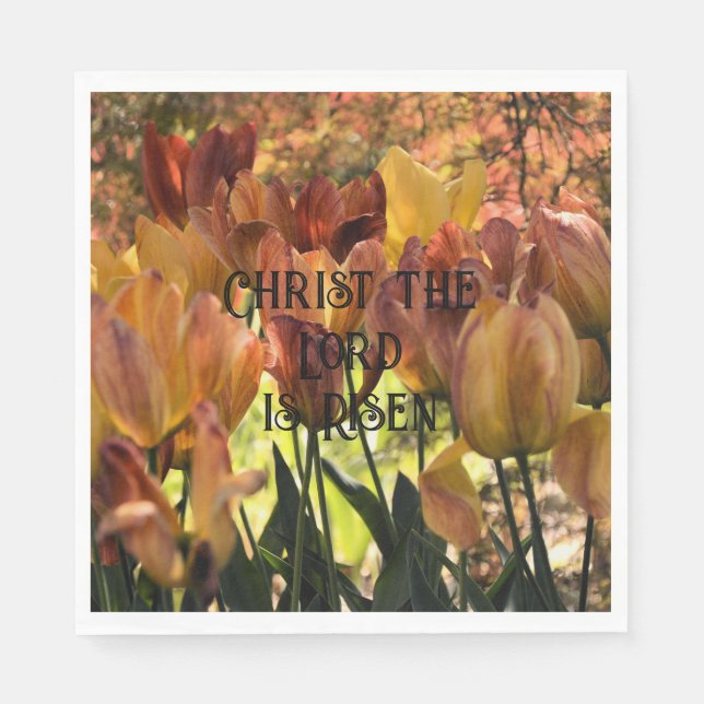 Han är Risen papper napkins Pappersservett (Framsidan)