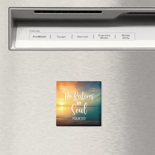 Han återställer min Soul Magnet (In Situ (Dishwasher))