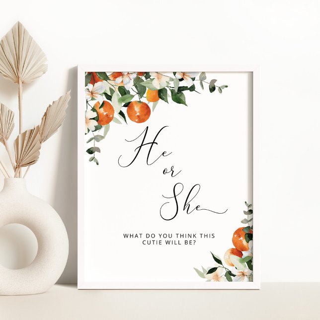 Han eller hon avslöjade gender. poster (Skapare uppladdad)