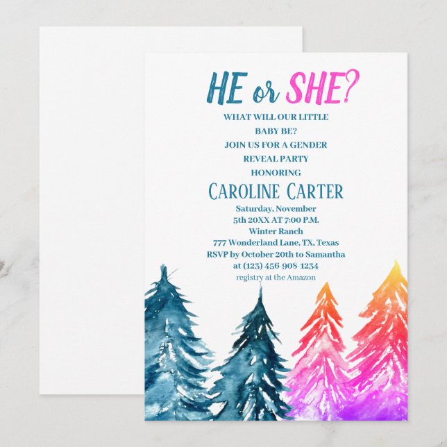 Han eller hon Boy eller Girl Winter Baby Shower Inbjudningar (Fram/baksida)