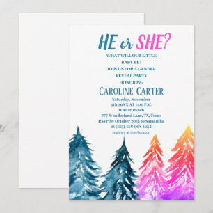 Han eller hon Boy eller Girl Winter Baby Shower Inbjudningar