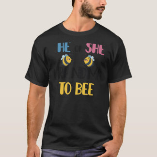 Han eller hon kan vara Rosa eller blå Gender T Shirt