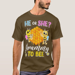Han eller hon rammade till att vara Gender för att T Shirt