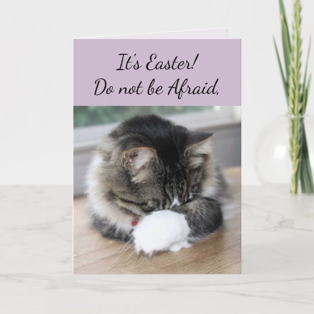 Han har fått Kitten Påsk Card Helgkort (Framsida)