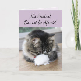 Han har fått Kitten Påsk Card Helgkort