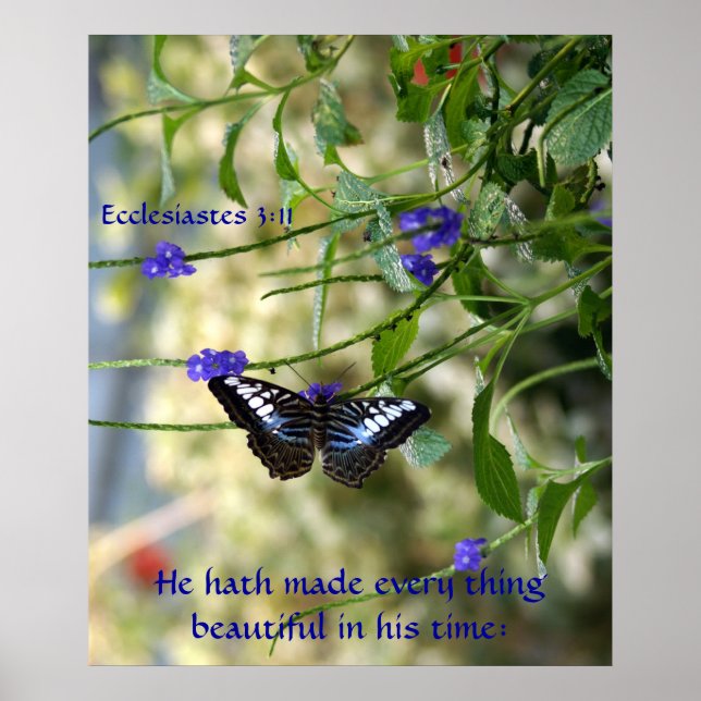 Han har gjort varje sak vacker Poster (Framsidan)