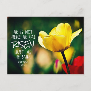 Han har RISEN Bible Verse Tulips Påsk Vykort