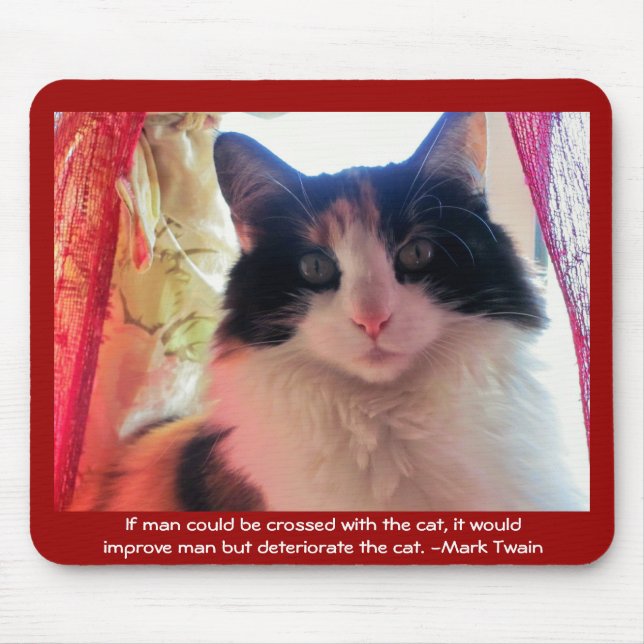 Han korsade med calico? musmatta (Framsidan)