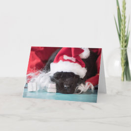 Han "näsa: om du har varit ett styggt kort