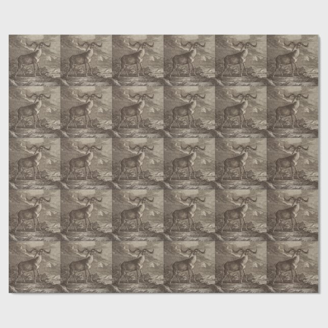Han- och ung kronhjort presentpapper (Platt)