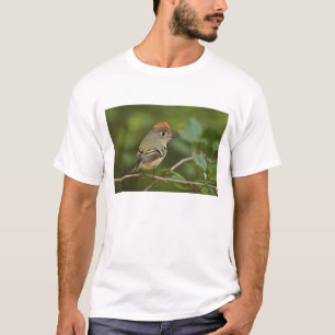 Han röd krona kungsfågel, Regulus calendula Tee Shirt