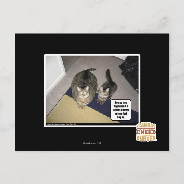 Han ser sig vara benhård. vykort (Framsida)