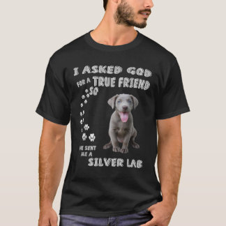 Han skickade mig en Silver Lab T Shirt