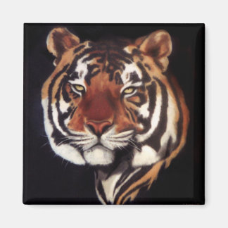 Han som är Regal Magnet