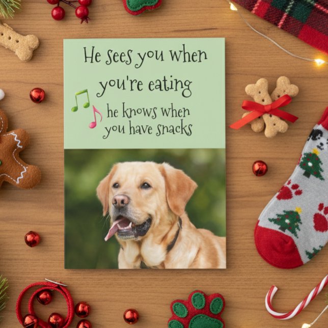 Han vet när du har snack från Hund jul Kort (Skapare uppladdad)