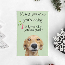 Han vet när du har snack i Hund jul Kort
