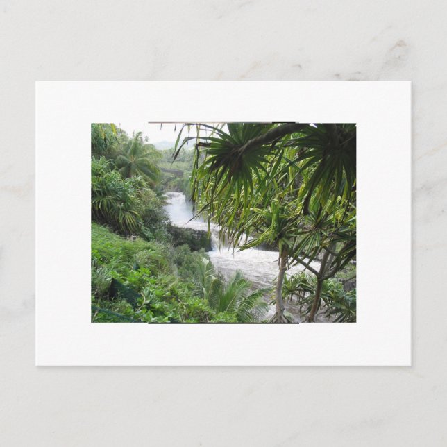 Hana, MAUI Vykort (Framsida)