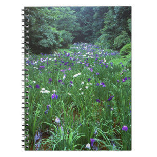Hana Shobu (Japansk Iris), Meiji Shrine, Anteckningsbok