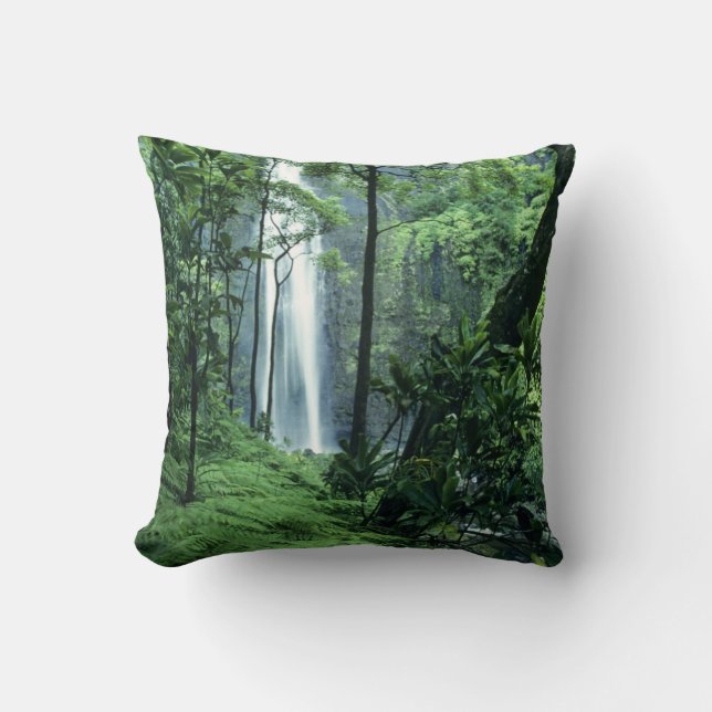 Hanakapiai-fallen längs Na Pali-kusten, Kauai Kudde (Framsida)