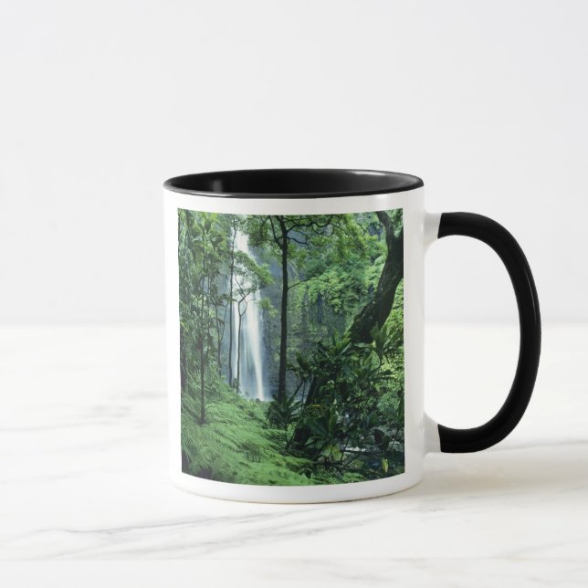 Hanakapiai-fallen längs Na Pali-kusten, Kauai, Mugg (Höger)