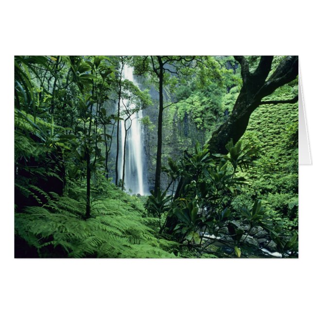 Hanakapiai Falls längs Na Pali Kusten, Kauai. Hälsningskort (Framsidan Horizontal)
