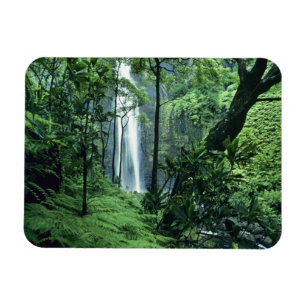 Hanakapiai Falls längs Na Pali-kusten, Kauai, Magnet