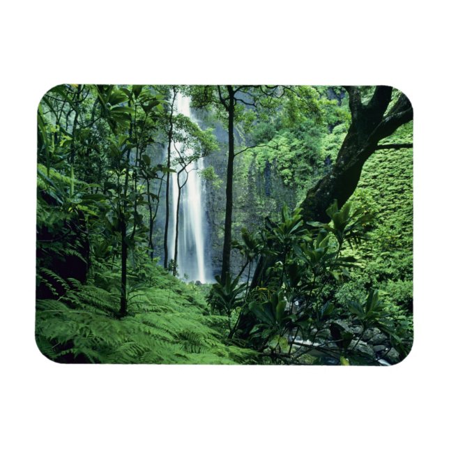 Hanakapiai Falls längs Na Pali Kusten, Kauai. Magnet (Horisontell)