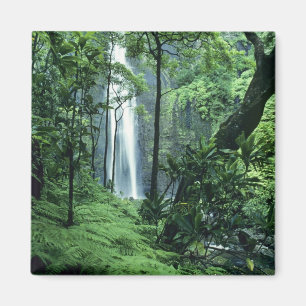 Hanakapiai Falls längs Na Pali-kusten, Kauai, Magnet