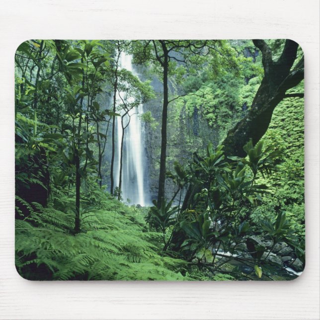 Hanakapiai Falls längs Na Pali Kusten, Kauai. Musmatta (Framsidan)
