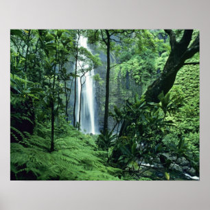 Hanakapiai Falls längs Na Pali-kusten, Kauai, Poster