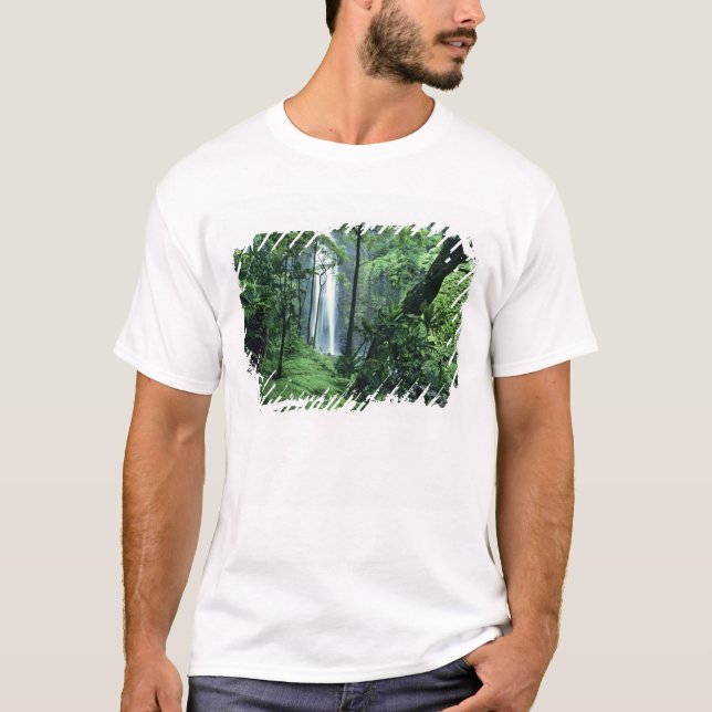 Hanakapiai Falls längs Na Pali Kusten, Kauai. Tee Shirt (Framsida)