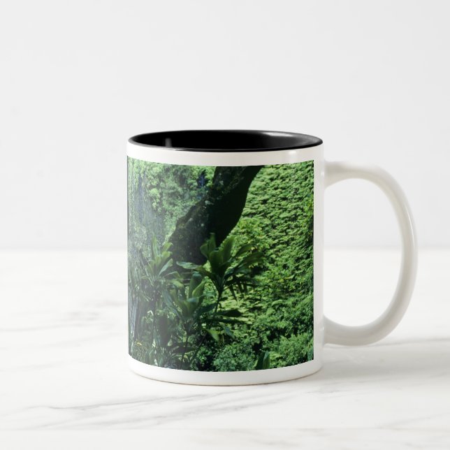 Hanakapiai Falls längs Na Pali Kusten, Kauai. Två-Tonad Mugg (Höger)