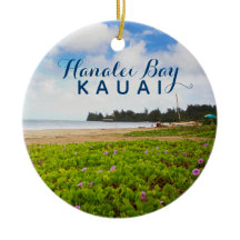 Hanalei Bay Kauai Hawaii 2 fotoår