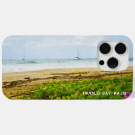 Hanalei Bay, Kauai Hawaii Beach & Boats