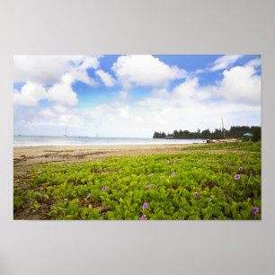 Hanalei Bay, Kauai Hawaii Beach Flowers Poster