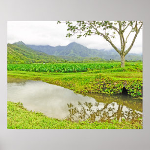 HANALEI (KAUAI) TARO FÄLT POSTER