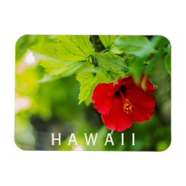 Hanalei Red Hibiscus Tropical Flower Magnet