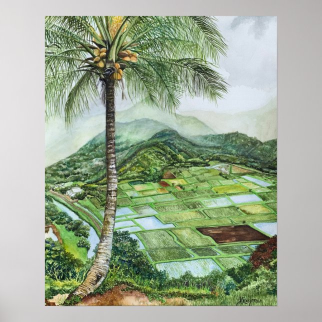 Hanalei Valley 16 x 20 M Poster (Framsidan)
