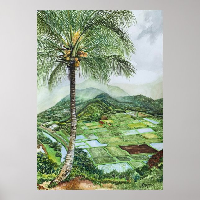 Hanalei Valley Lookout Poster (Framsidan)
