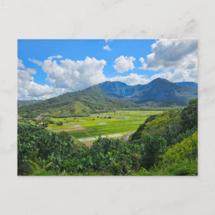 Hanalei Valley Lookout Vykort