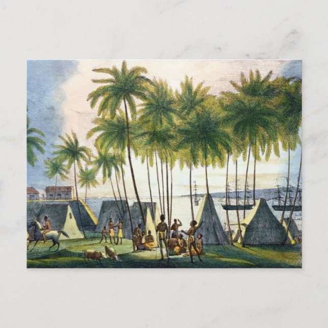 Hanarourous hamn i Sandwich-öarna Vykort (Framsida)