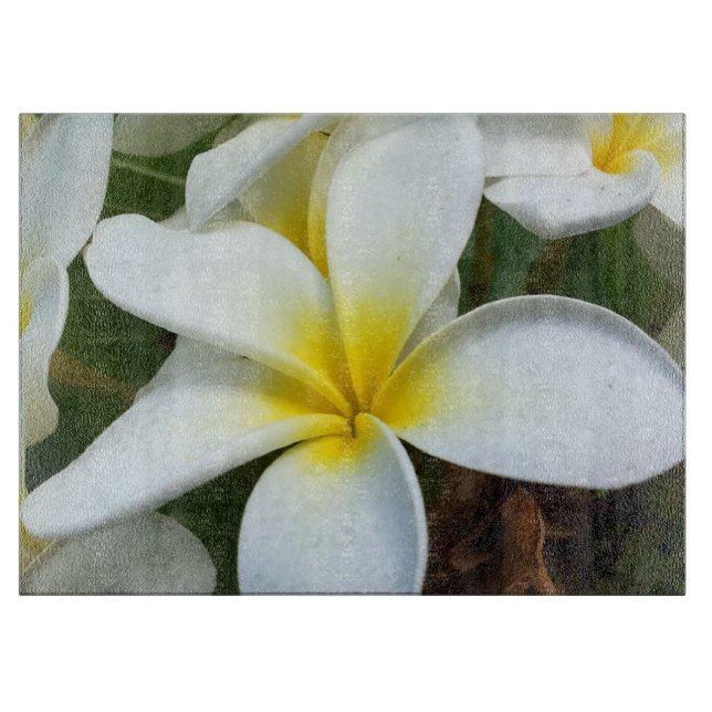 Hanauma Bay Hawaii (Framsidan)