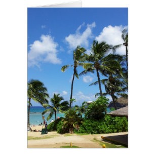 Hanauma Bay Hawaii Coconut Träd Hälsningskort