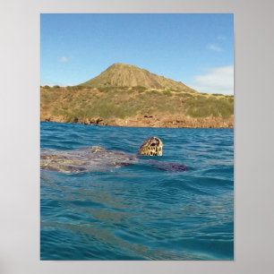 Hanauma Bay Hawaii Poster