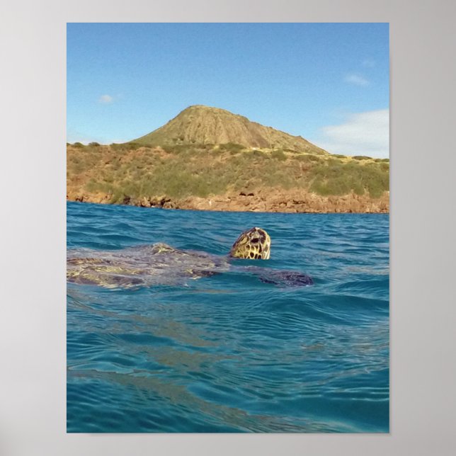 Hanauma Bay Hawaii Poster (Framsidan)