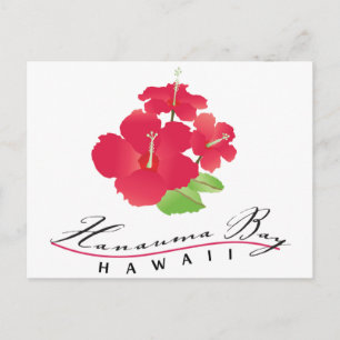 Hanauma Bay Hawaii - Röd Hibiskusblomma Vykort
